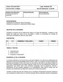 Modelo de acta de reunion de area de desarrrollo.