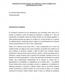 PREVENCION DE LA VIOLENCIA SEXUAL CONTRA NIÑOS, NIÑAS Y ADOELSCENTES EN EL CONFLICTO ARMADO: UNA RESPONSABILIDAD DE TODOS