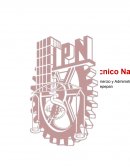 Factores culturales . Las principales categorías subculturales