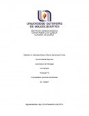 Propiedades químicas de alcholes