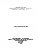 DETERMINACION DE AGREGADOS FINOS