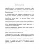 RECURSOS HUMANOS de las organizaciones.