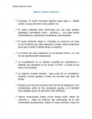 Hábitat y Medio Ambiente