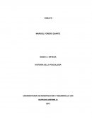 ENSAYO: EL EXPERIMENTO