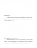 Resumen De Un Lectura Reflexiva Del Texto