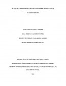 LOS MEJORES FUNDAMENTOS CONSTITUCIONALES DEL DERECHO A LA SALUD