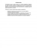 Sistema enzimatico