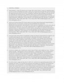 Modelos CONTROL INTERNO ENSAYO