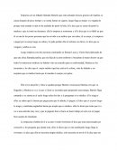 Ensayo: Medico a palos