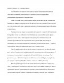 BIOSEGURIDAD EN LABORATORIOS.