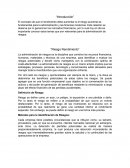 Riesgo y rendimiento