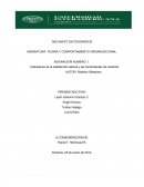 Satisfacción laboral (desarrollo organizacional)