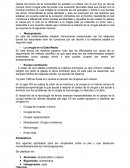 Asistente en cirugía