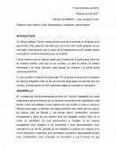 En México bárbaro Turner muestra la otra cara de la moneda