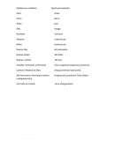 Palabras en castillano Traducidas al quechua