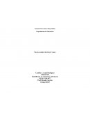 Plan de cuidado fallo renal