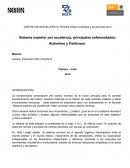 Sistema superior por excelencia, principales enfermedades: Alzheimer y Parkinson