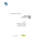 Consejo Federal de Gobierno. La Función de la Actividad Administrativa