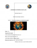 Unidad de aprendizaje: Química 2 “Reacciones químicas y el calentamiento global”