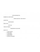 Fiestas tradicionales de Fin de Año