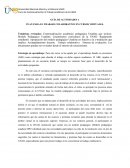 PLAN PARA EL TRABAJO COLABORATIVO EN CURSOS VIRTUALES