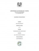 Algoritmos y pseudocódigos