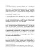 Transgénicos en México. Controversia del maíz mexicano