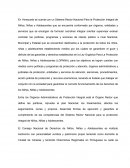 En Venezuela se cuenta con un Sistema Rector Nacional Para la Protección Integral de Niños