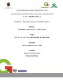 REPORTE DE PRACTICAS “INSTALACIÓN DE VENOCLISIS”