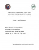 El camino del guerrero FACULTAD DE INGENIERÍA MECÁNICA Y ELÉCTRICA