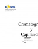 BIOLOGIA CAPILARIDAD Y CROMATOGRAFIA