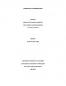 CONTABILIDAD DE INVERSION Y FINANCIACION MADERAS DEL LIBANO S.A