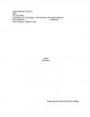 FUNCIONES GERENCIALES Y NIVELES ORGANIZACIONALES