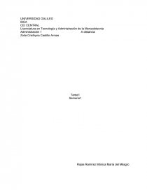 FUNCIONES GERENCIALES Y NIVELES ORGANIZACIONALES. Página 1