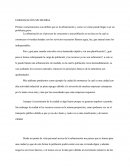 URBANIZACIÓN SIN MEDIDA