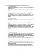 Linea de producción MECATRONICA APLICADA