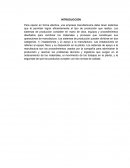 Para operar en forma efectiva, una empresa manufacturera debe tener sistemas que le permitan lograr eficientemente el tipo de producción que realiza