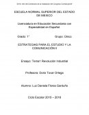 ESTRATEGIAS PARA EL ESTUDIO Y LA COMUNICACIÓN ll