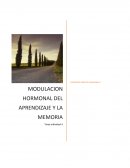 MODULACION HORMONAL DEL APRENDIZAJE Y LA MEMORIA