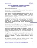 VISITAS A LA EMPRESA, AUDITORÍAS TÉCNICAS, ORGANIZACIÓN DE AUDITORÍAS