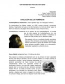 EVOLUCIÓN DE LOS HOMÍNIDOS
