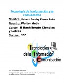 El tic, Tecnologías de Información
