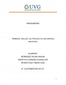 ANALISIS DEL PROCESO DE UNA EMPRESA INDUSTRIAL .