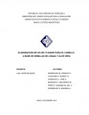 ELABORACIÓN DE UN GEL FIJADOR PARA EL CABELLO A BASE DE SEMILLAS DE LINAZA Y ALOE VERA