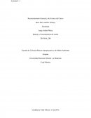 Reconocimiento General y de Actores del Curso