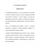 La contaminación ambiental Ensayo