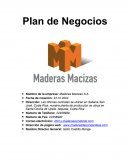 Plan de Negocios Maderas Macizas S.A.