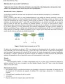 PRUEBA DE EVALUACIÓN CONTINUA 1