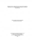 Cotidianamente en las labores empresariales el desempeño ambiental está generando más impacto e importancia