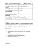 Características básicas de las tecnologías de información en el ámbito empresarial.